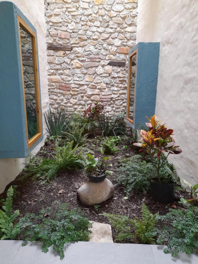 Hotel Pepen San Cristóbal de Las Casas 外观 照片